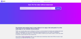 Save TikTok video without watermark